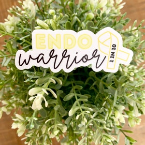 May include: Yellow sticker with the text "ENDO warrior 1 IN 10" and a yellow ribbon.