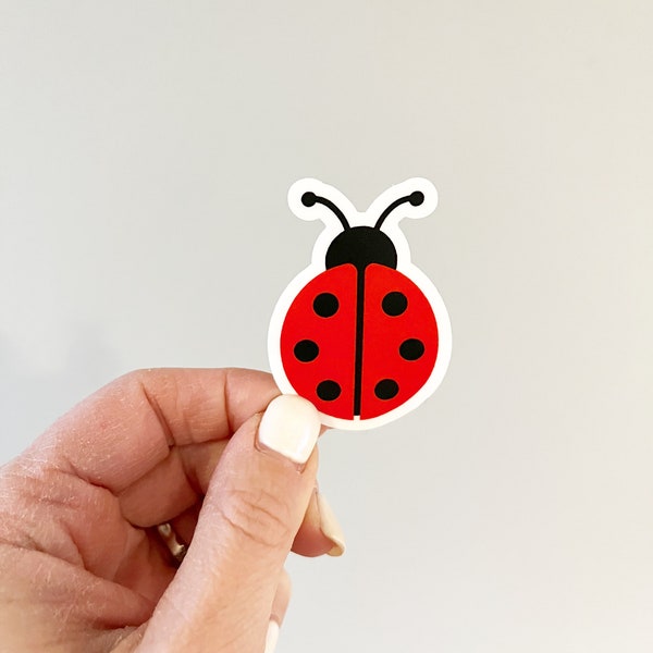 Lady Bug Sticker, Bug Stickers, Ladybug Art, Lady Bug Gifts, Stickers for Kids, Bug Lover, Lady Bug Lover, Insect Stickers