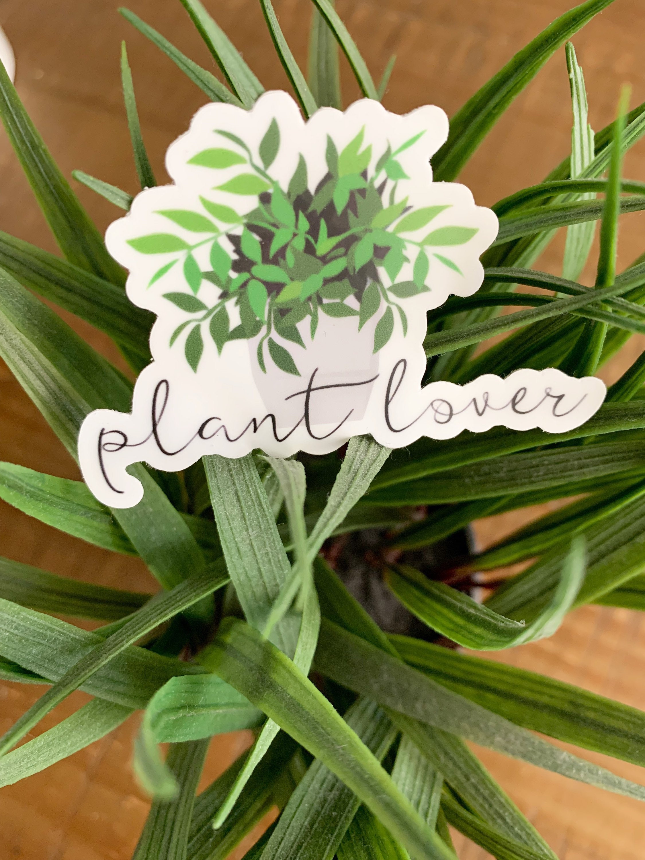 Plant Lover vinyl sticker Plant Stickers Plant Sticker Pack | Etsy