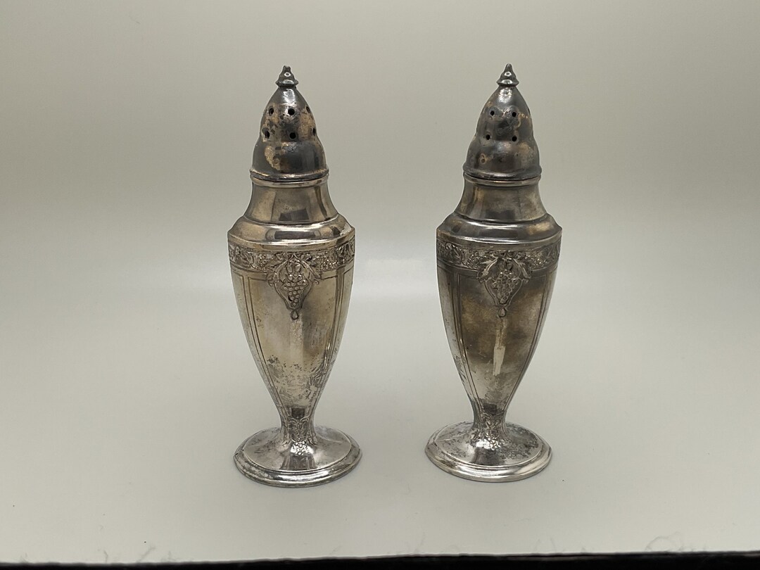 Vintage Silver Plate Salt and Pepper Shakers bacchante Astor by Pool Salt and Pepper Shaker Set