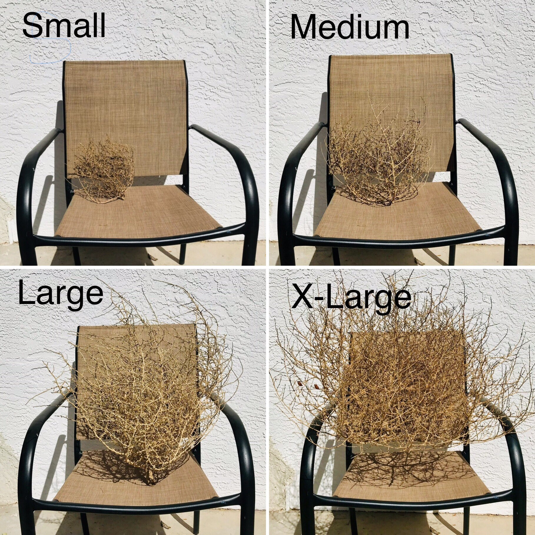 Handpicked Tumbleweed Decor MEDIUM Wild Dried Plant Etsy