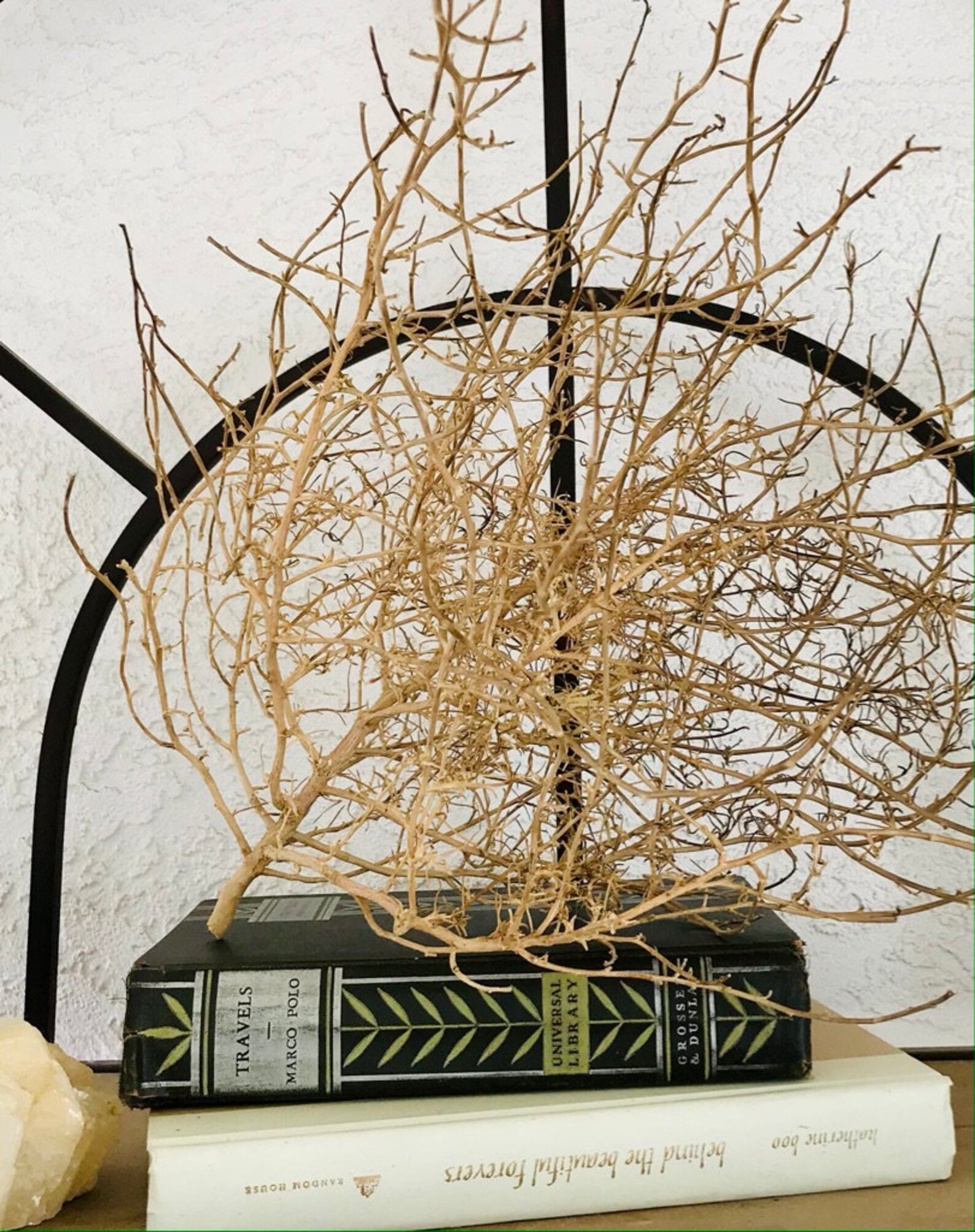 Handpicked Tumbleweed Decor MEDIUM Wild Dried Plant Etsy