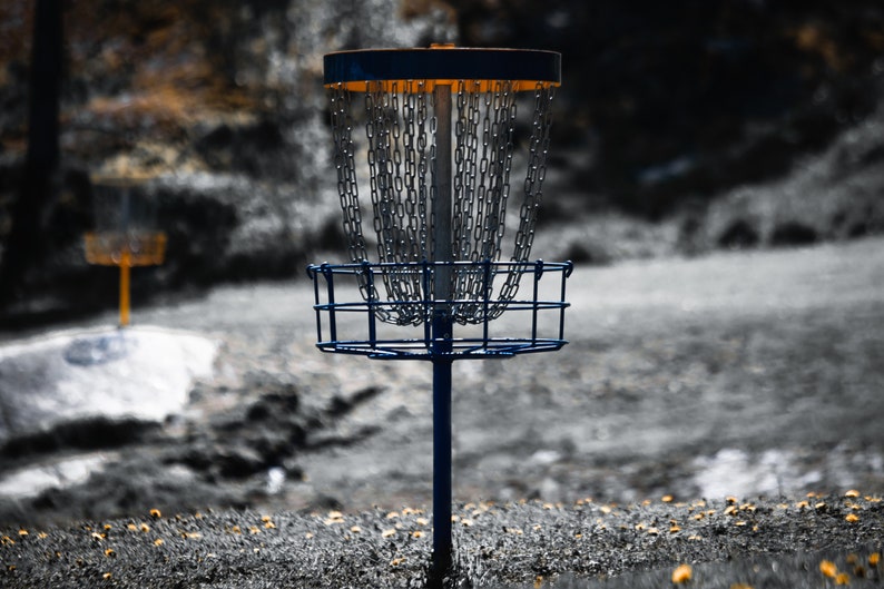 Digital Print Two Disc Golf Baskets Etsy