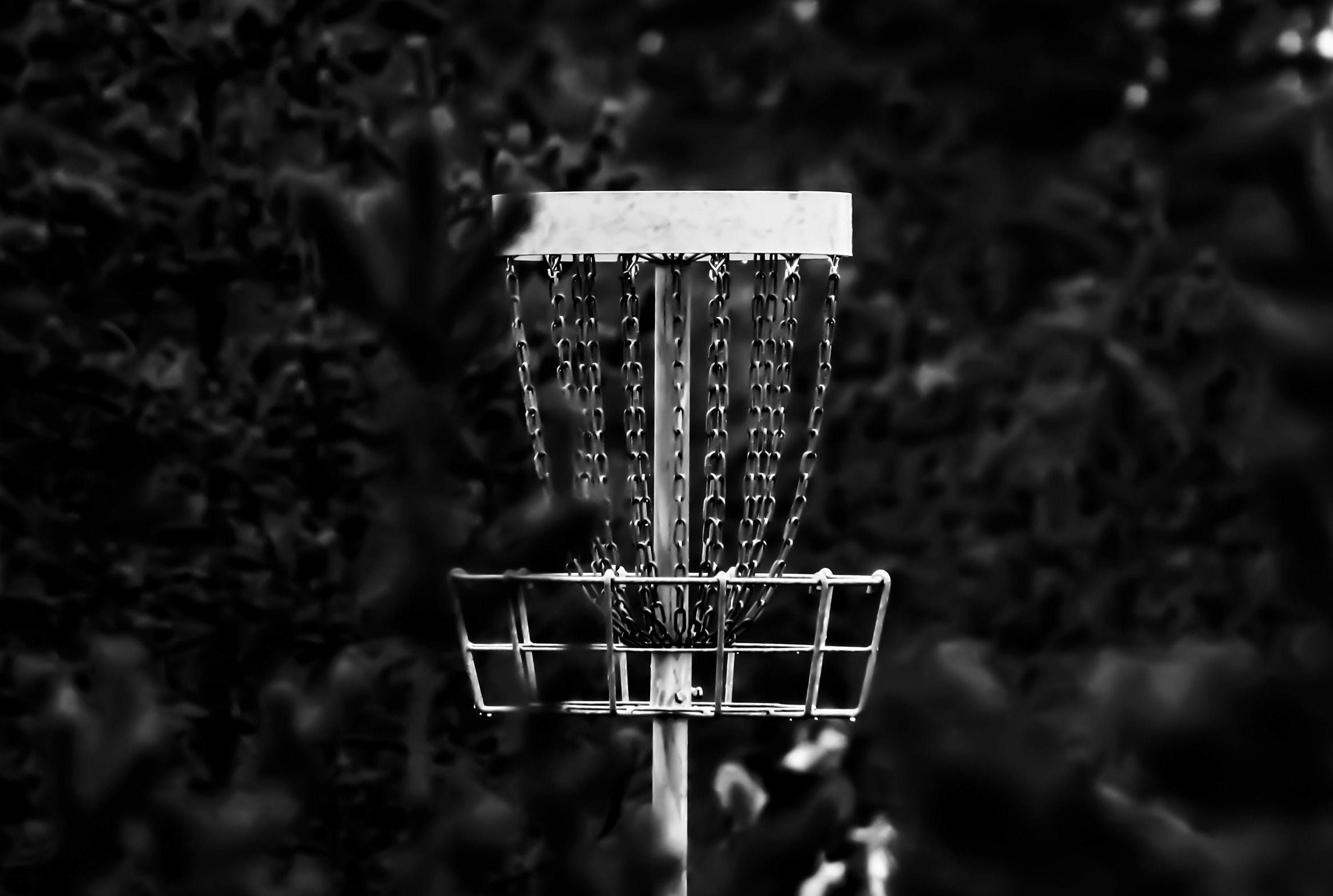 11+ Custom Disc Golf Mini