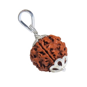 Mukhi Rudraksha Pendant Lab Certified Nepali Five Mukhi Original Certified Rudraksha Pendant with Red Thread for Men and Women, Origin Nepal