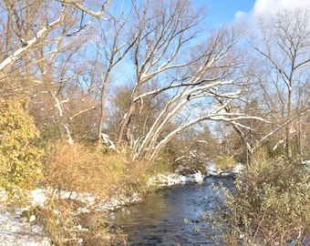 Paint Creek River in Metro Detroit Area- Instant Download Photography Home Décor