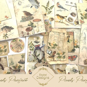 Diario basura Vintage Forest, hojas imprimibles digitales y adornos para diario basura, álbum de recortes, collage