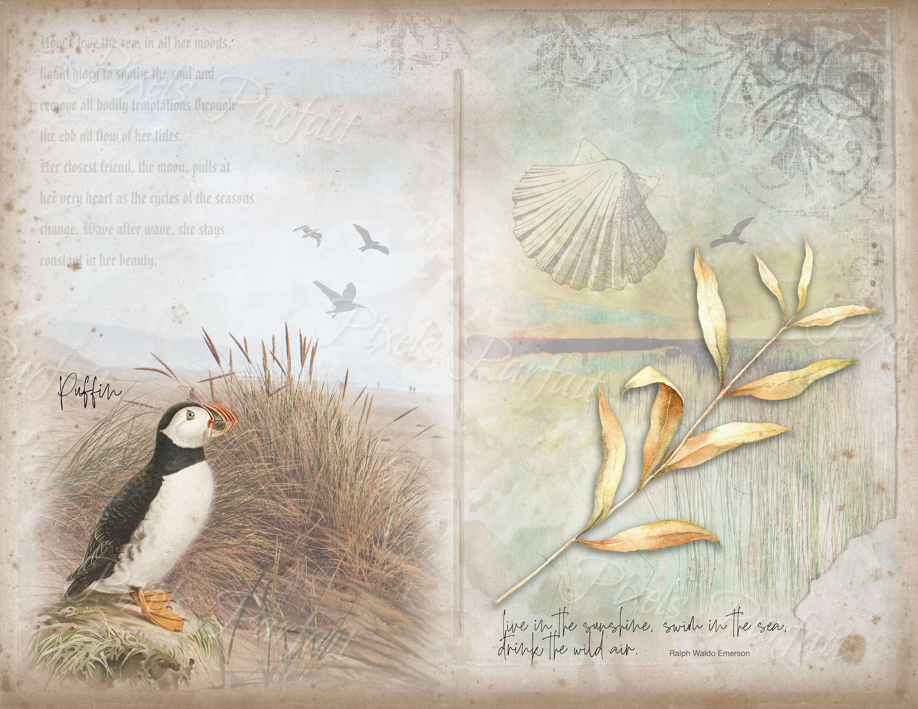Ocean Junk Journal Kit, SEASIDE STORY, Vintage English Beach