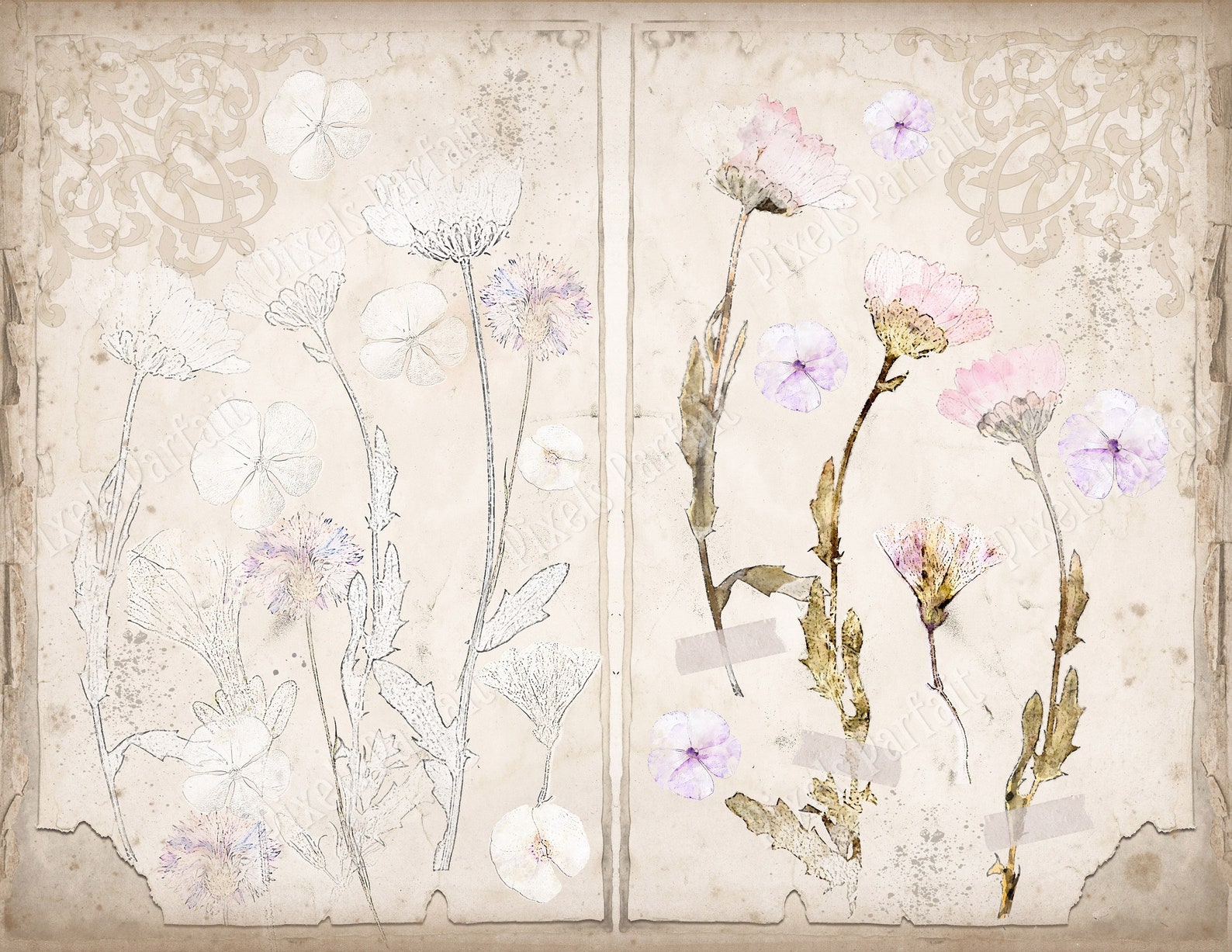 Vintage Flower Digital Junk Journal Kit, PRESSED FLOWERS, Shabby Chic