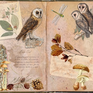 Zestaw Vintage Forest Owls Fall junk journal, strony do druku dziennika przyrodniczego do scrapbookingu, kolażu i ozdób