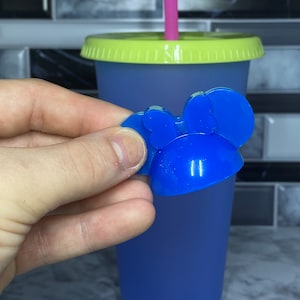 Straw Topper