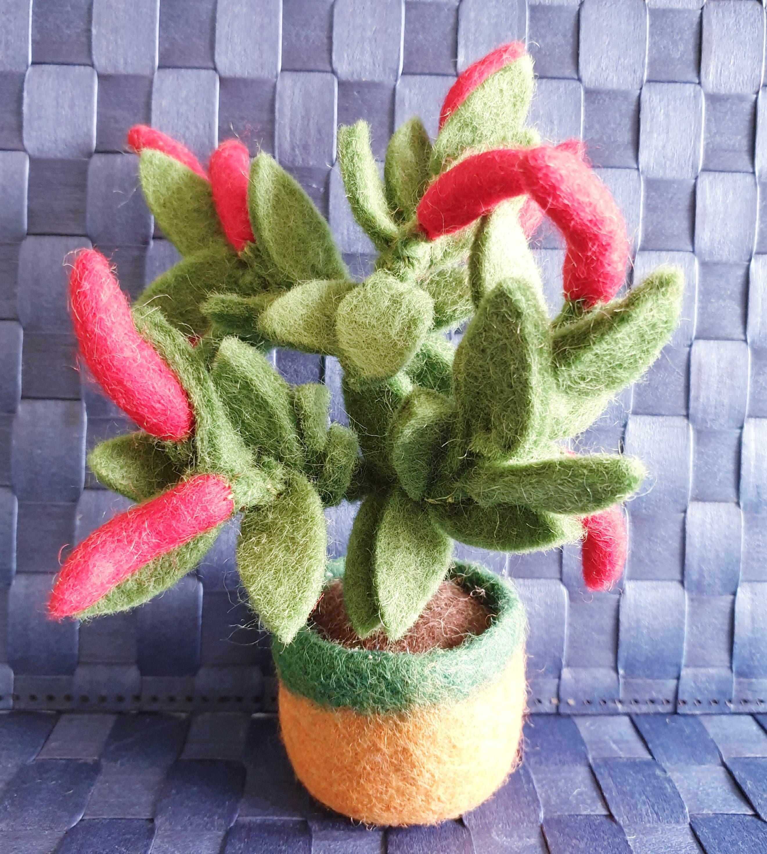Felt Plant Etsy