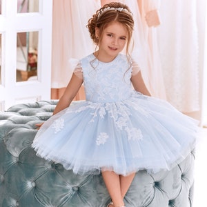 Flower girl dress tutu, Flower girl dress tulle, Flower girl dress baby, Flower girl dress dusty blue, Party dress for girls, Birthday dress