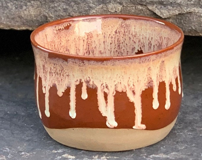 Pottery Planter / Burnt Orange Succulent Planter / Sally Schramm Pottery