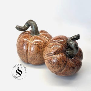 Puede incluir: Dos calabazas de cerámica con superficies moteadas marrones y negras y tallos verde oscuro. Decoración con temática otoñal. El logotipo "SALLY SCHRAMM Pottery" está en un círculo en la parte inferior izquierda.