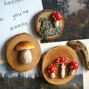 Pilz-Magnete Waldland Kühlschrankmagnete Pflanzengarten Süß Fantasy Dekor Kreidetafel Pilz Magnete Fliegenpilz Pilz Magnete set Feenkern