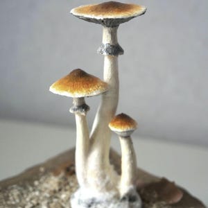Psylocibe cubensis mushroom figurine Magic shrooms Psilocybin Golden teachers statue Blue Meanie Psychedelic magic mushroom Aztec figurine
