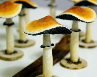 アンティーク マッシュルーム キノコ トレー お盆 アンティーク