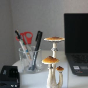Prezent dla miłośnika grzybów psilocybinowych Figurka z magicznymi grzybami przebudzenia Złote nauczycielki Wiszące ozdoby z magicznymi grzybami Figurka z grzybami psylocybinowymi zdjęcie 11