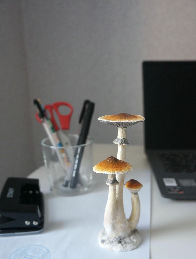 Prezent dla miłośnika grzybów psilocybinowych Figurka z magicznymi grzybami przebudzenia Złote nauczycielki Wiszące ozdoby z magicznymi grzybami Figurka z grzybami psylocybinowymi zdjęcie 11