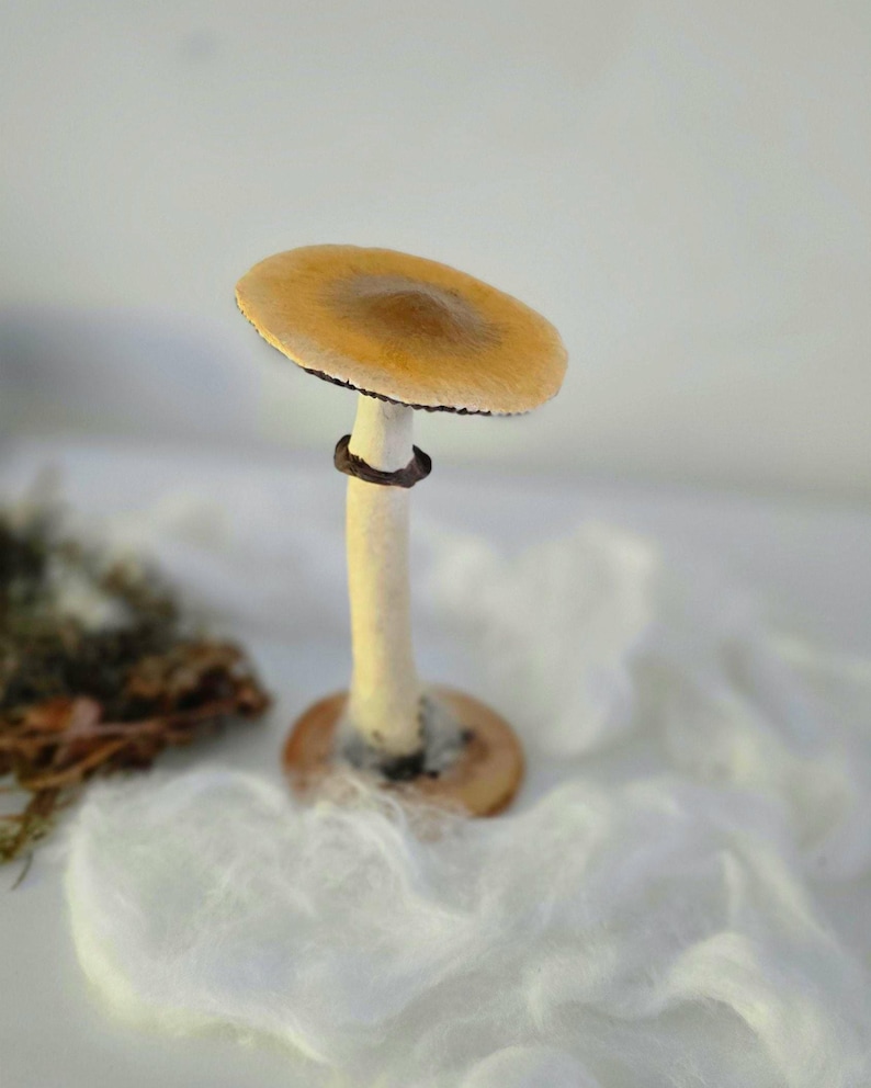 Psylocibe cubensis mushroom figurine Magic shrooms Psilocybin Golden teachers statue Blue Meanie Psychedelic magic mushroom Aztec figurine image 16