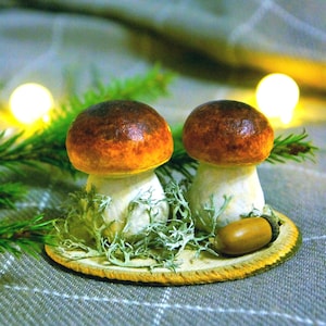 Natural Autumn Decorations | Handmade Woodland Decor | Enchanting Mushroom Ornaments | Mushroom figurine | Botanical Decor | Fungi | Porcini