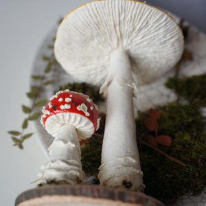 May include: Two mushroom sculptures. One is a small red mushroom with white spots, and the other is a large white mushroom. Both are on a wooden base with moss and greenery.