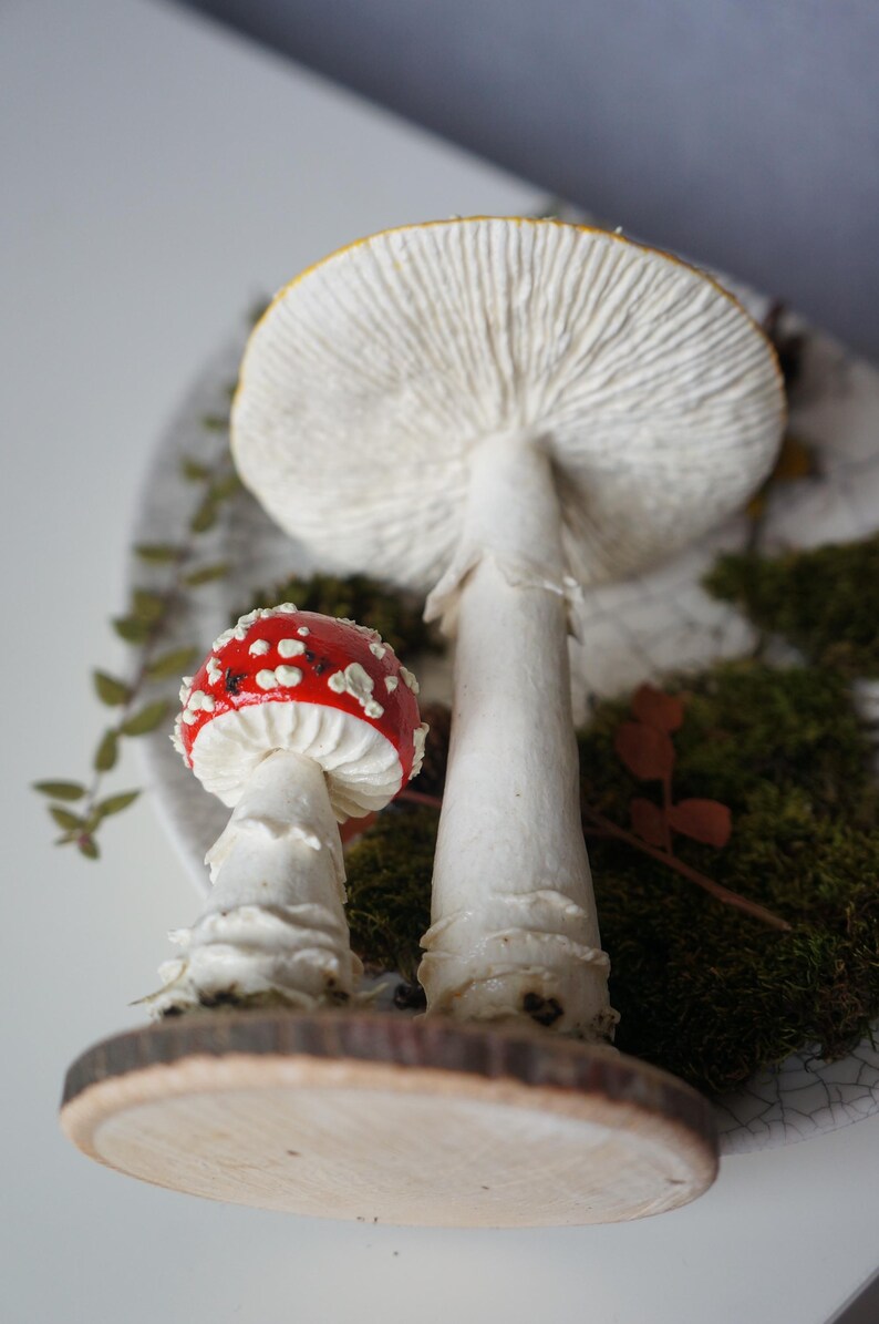 May include: Two mushroom sculptures. One is a small red mushroom with white spots, and the other is a large white mushroom. Both are on a wooden base with moss and greenery.