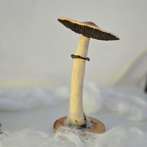 Prezent dla miłośnika grzybów psilocybinowych Figurka z magicznymi grzybami przebudzenia Złote nauczycielki Wiszące ozdoby z magicznymi grzybami Figurka z grzybami psylocybinowymi zdjęcie 7