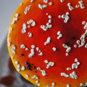 May include: Close-up of a vibrant red mushroom cap with white spots. The cap has a yellow edge and a dark spot near the center. The image highlights the texture and color of the mushroom, a common element in nature-themed decor.