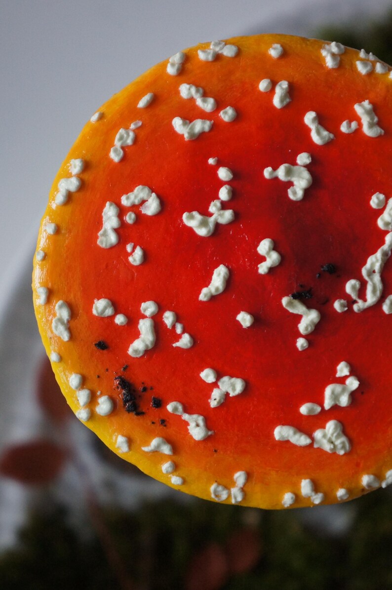 May include: Close-up of a vibrant red mushroom cap with white spots. The cap has a yellow edge and a dark spot near the center. The image highlights the texture and color of the mushroom, a common element in nature-themed decor.