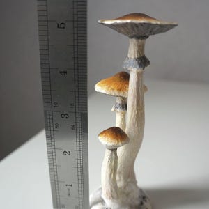 Prezent dla miłośnika grzybów psilocybinowych Figurka z magicznymi grzybami przebudzenia Złote nauczycielki Wiszące ozdoby z magicznymi grzybami Figurka z grzybami psylocybinowymi Cybensis figurine
