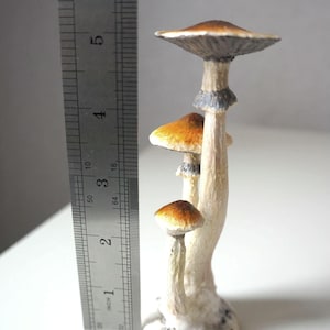 Psylocibe cubensis mushroom figurine Magic shrooms Psilocybin Golden teachers statue Blue Meanie Psychedelic magic mushroom Aztec figurine Cubensis figurine