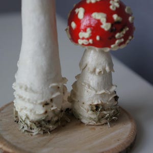 May include: Two decorative mushroom figurines. One mushroom has a red cap with white spots, the other is white. Both have white stems and sit on a wooden slice. The mushrooms are a whimsical decorative item.