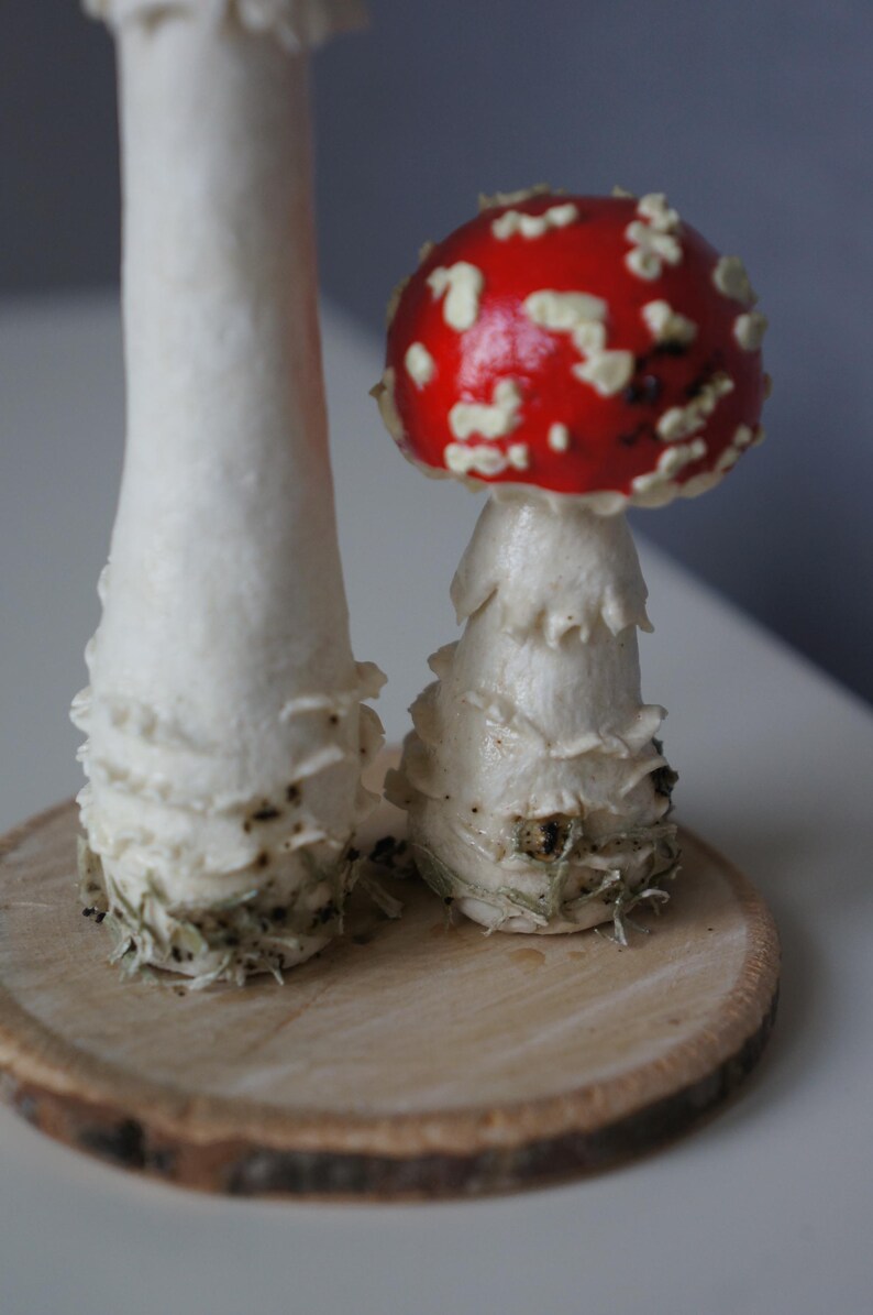 May include: Two decorative mushroom figurines. One mushroom has a red cap with white spots, the other is white. Both have white stems and sit on a wooden slice. The mushrooms are a whimsical decorative item.