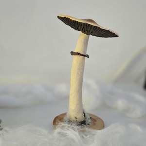 Psylocibe cubensis mushroom figurine Magic shrooms Psilocybin Golden teachers statue Blue Meanie Psychedelic magic mushroom Aztec figurine image 12