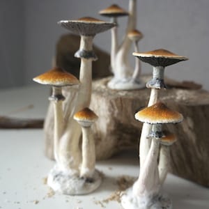 Trippy mushroom art Psilocybe cubensis figurine Golden teachers Blue meanie Aztec mushroom Psychedelic mushroom Psilocybine cyanescens art