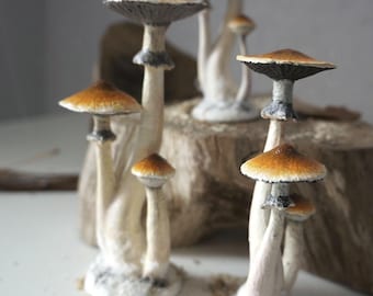 Sztuka z psychodelicznym grzybem Figurka Psilocybe cubensis Złoci nauczyciele Niebieski złoczyńca Grzyb aztecki Grzyb psychodeliczny Sztuka z psilocybiną cyanescens