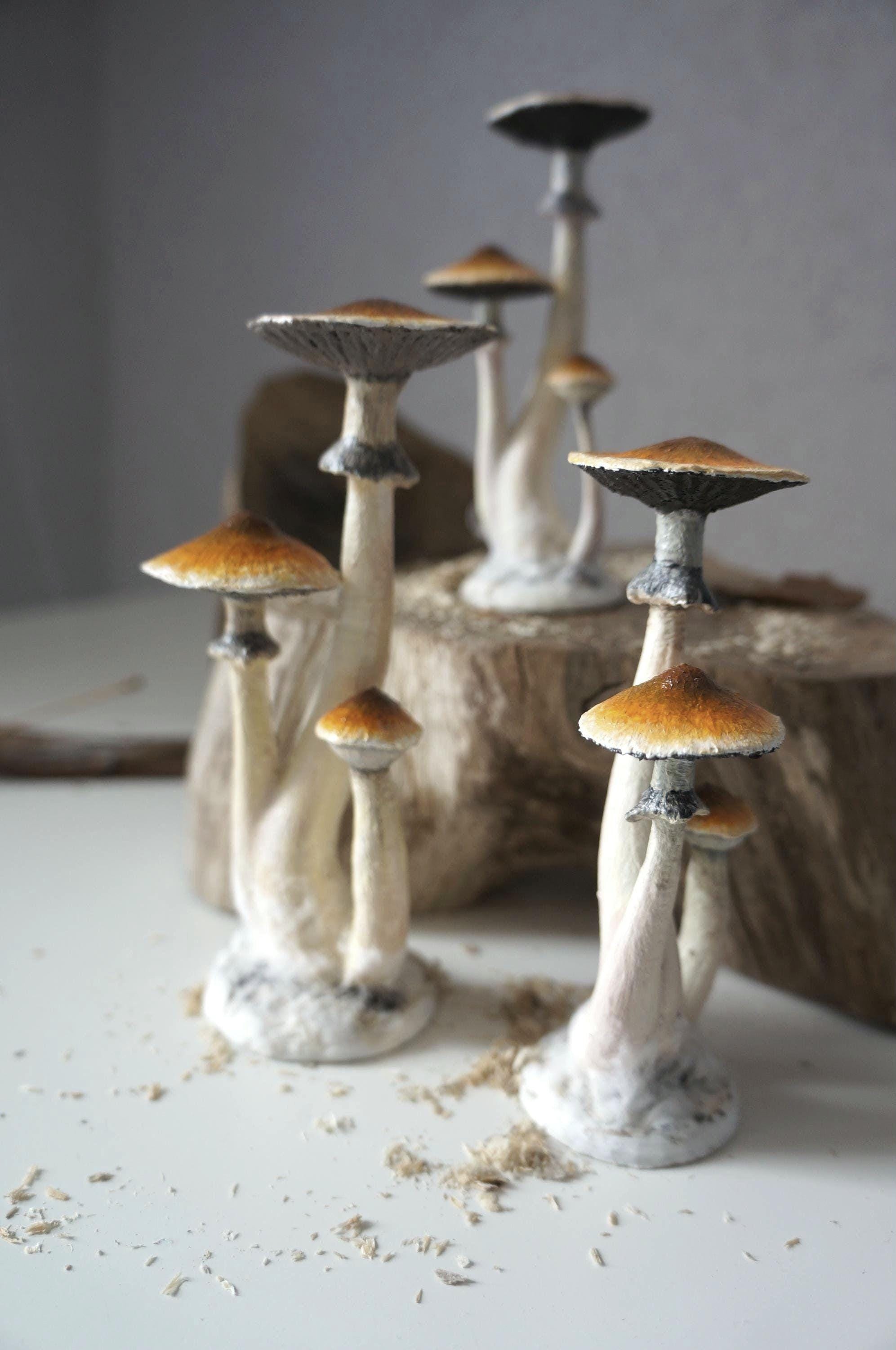 置物 psychedeiic art Obje Psilocybe Cubensis Figurine - Etsy