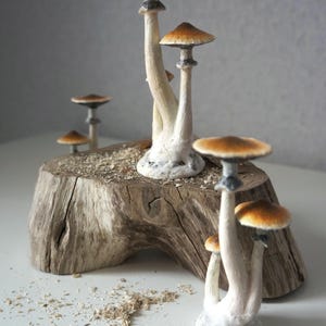 Psylocibe cubensis mushroom figurine Magic shrooms Psilocybin Golden teachers statue Blue Meanie Psychedelic magic mushroom Aztec figurine image 6