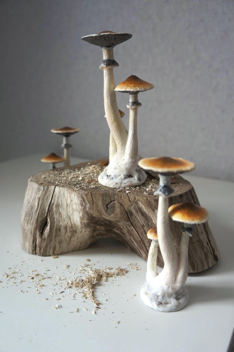 Psylocibe cubensis mushroom figurine Magic shrooms Psilocybin Golden teachers statue Blue Meanie Psychedelic magic mushroom Aztec figurine image 6