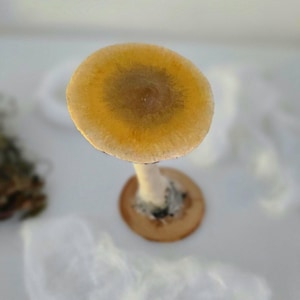 Psylocibe cubensis mushroom figurine Magic shrooms Psilocybin Golden teachers statue Blue Meanie Psychedelic magic mushroom Aztec figurine image 11