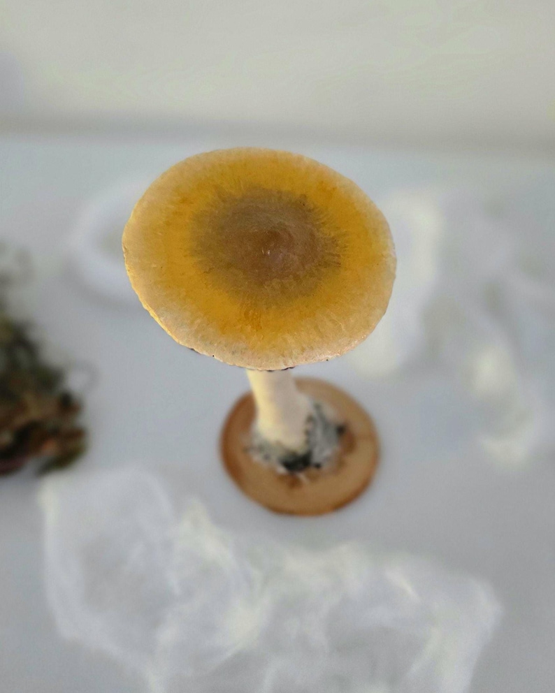 Psylocibe cubensis mushroom figurine Magic shrooms Psilocybin Golden teachers statue Blue Meanie Psychedelic magic mushroom Aztec figurine image 11