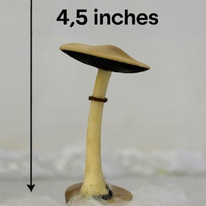 Psylocibe cubensis mushroom figurine Magic shrooms Psilocybin Golden teachers statue Blue Meanie Psychedelic magic mushroom Aztec figurine Psilocybe figurine