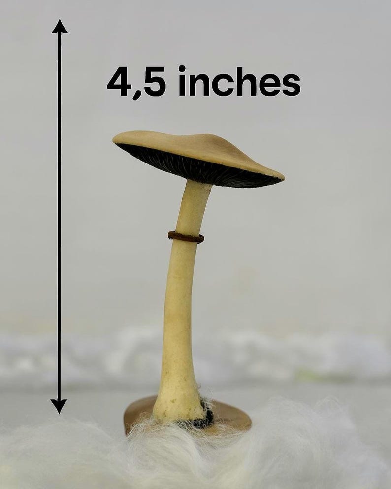 Psylocibe cubensis mushroom figurine Magic shrooms Psilocybin Golden teachers statue Blue Meanie Psychedelic magic mushroom Aztec figurine Psilocybe figurine