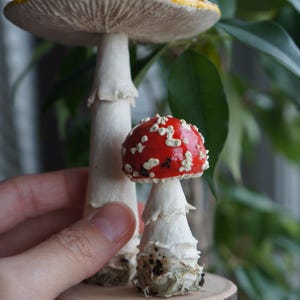 May include: A pair of decorative mushroom figurines. One large mushroom has a yellow cap with white spots, and the other has a red cap with white spots. Both have white stems and are mounted on a wooden base.
