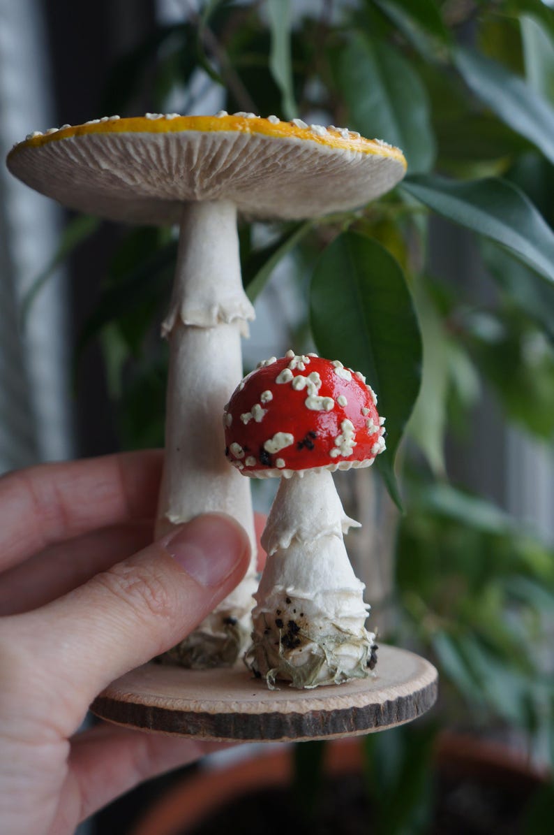 May include: A pair of decorative mushroom figurines. One large mushroom has a yellow cap with white spots, and the other has a red cap with white spots. Both have white stems and are mounted on a wooden base.