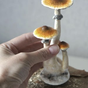 Psylocibe cubensis mushroom figurine Magic shrooms Psilocybin Golden teachers statue Blue Meanie Psychedelic magic mushroom Aztec figurine image 8