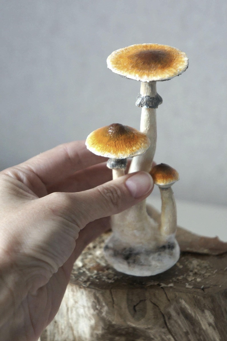 Psylocibe cubensis mushroom figurine Magic shrooms Psilocybin Golden teachers statue Blue Meanie Psychedelic magic mushroom Aztec figurine image 8