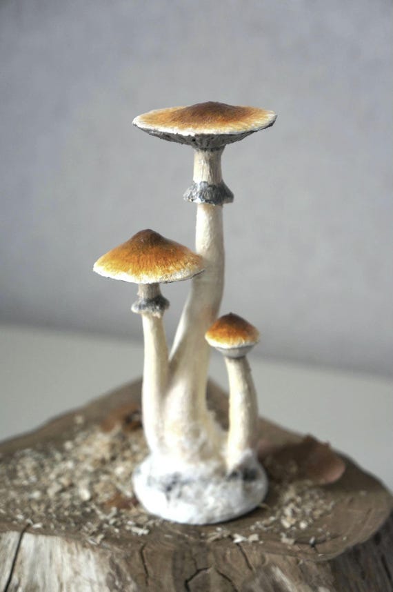 Psylocibe cubensis mushroom figurine Magic shrooms Psilocybin Golden teachers statue Blue Meanie Psychedelic magic mushroom Aztec figurine